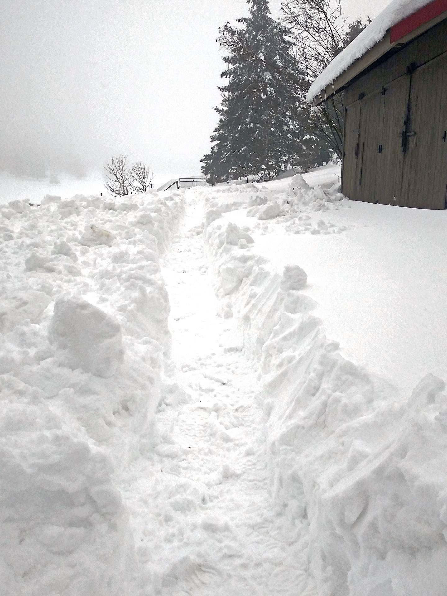 Many long pathways had to be dug